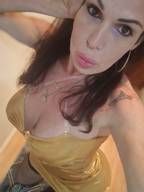 TRANS MUY FIESTERA