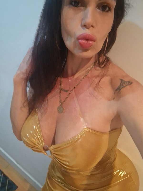 TRANS MUY FIESTERA