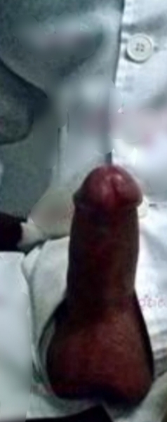 CHICO ESPAÑOL  MUSCULADO .NO GRATIS BOIRO SALIDAS