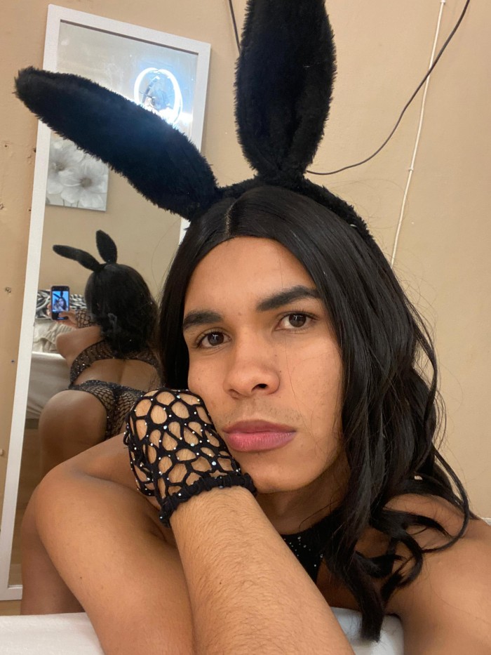 Tu Gata en celo