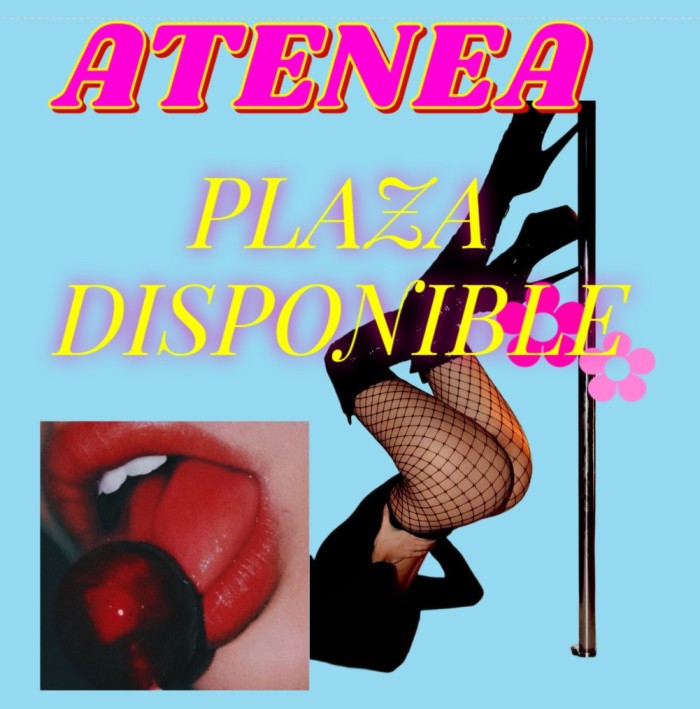 ATENEA PLAZA DISPONIBLE, ALTOS INGRESOS