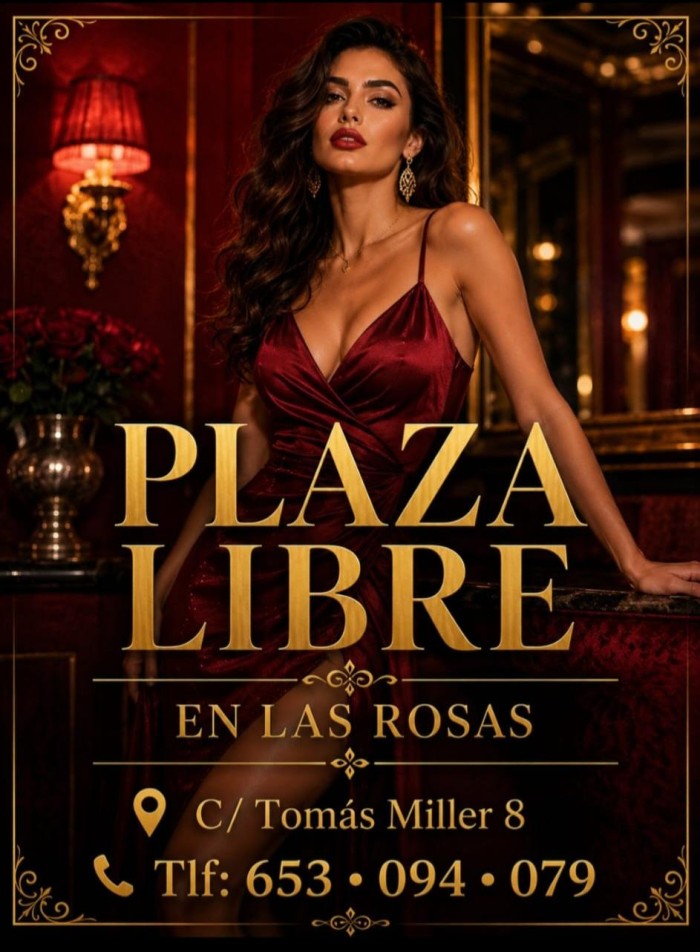 PLAZA LIBRE EN LAS PALMAS  PLAYA LAS CANTERAS.