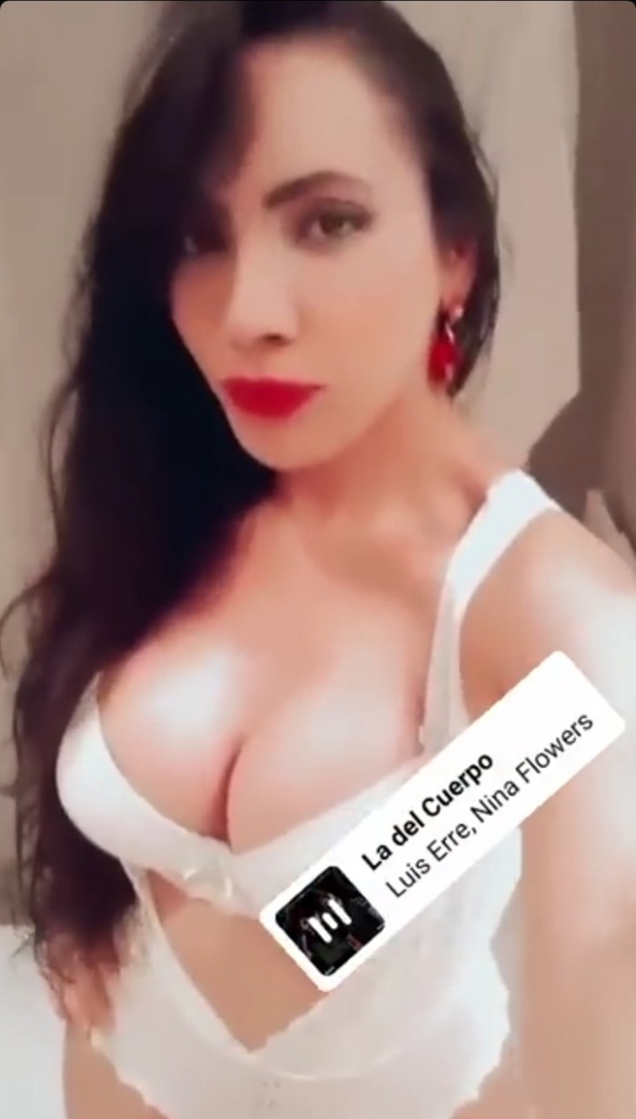 TRANS BRASILEÑA CAÑERA FIESTERA CARIÑOSA