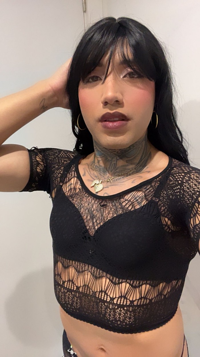 EN ARANJUEZ TRANS VERSATIL FIESTERA LECHERA