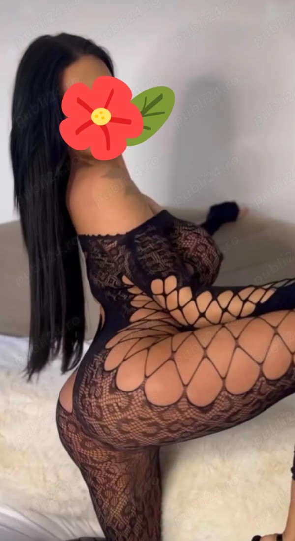 Novedad