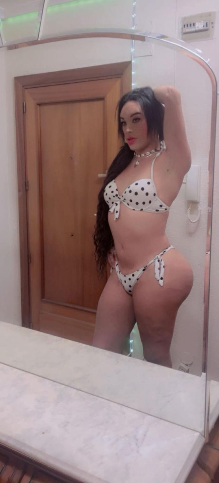 Morros te babeo la polla te como el culo