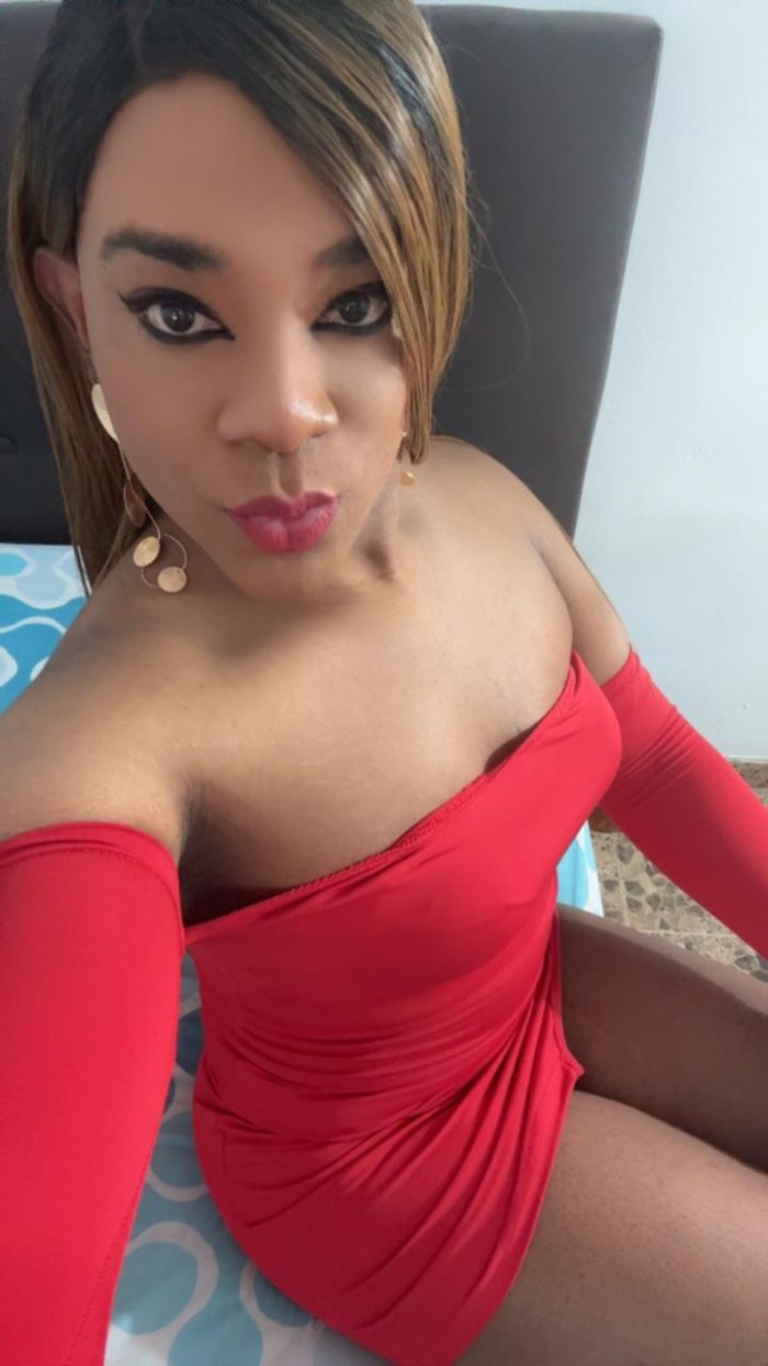 Transexual Particular (Badalona-Llefia)