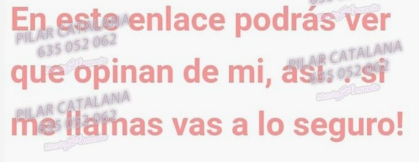 LLEPO DE GUSTET PETO NEGRE AMB MOLTA LLENGUA