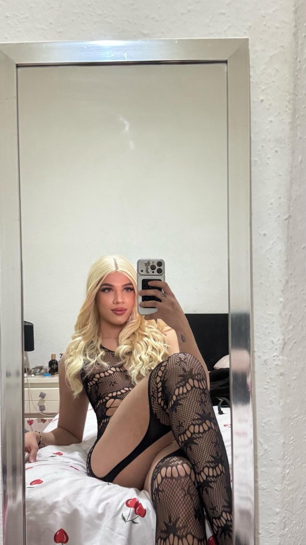 SÚPER NOVEDAD TRANS LATINA EN SANTANDER FIESTERA