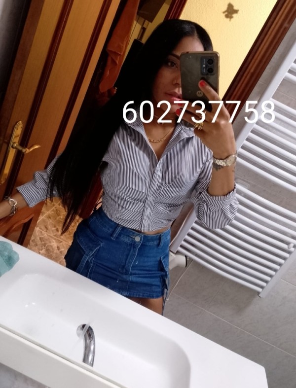 Nicol latina