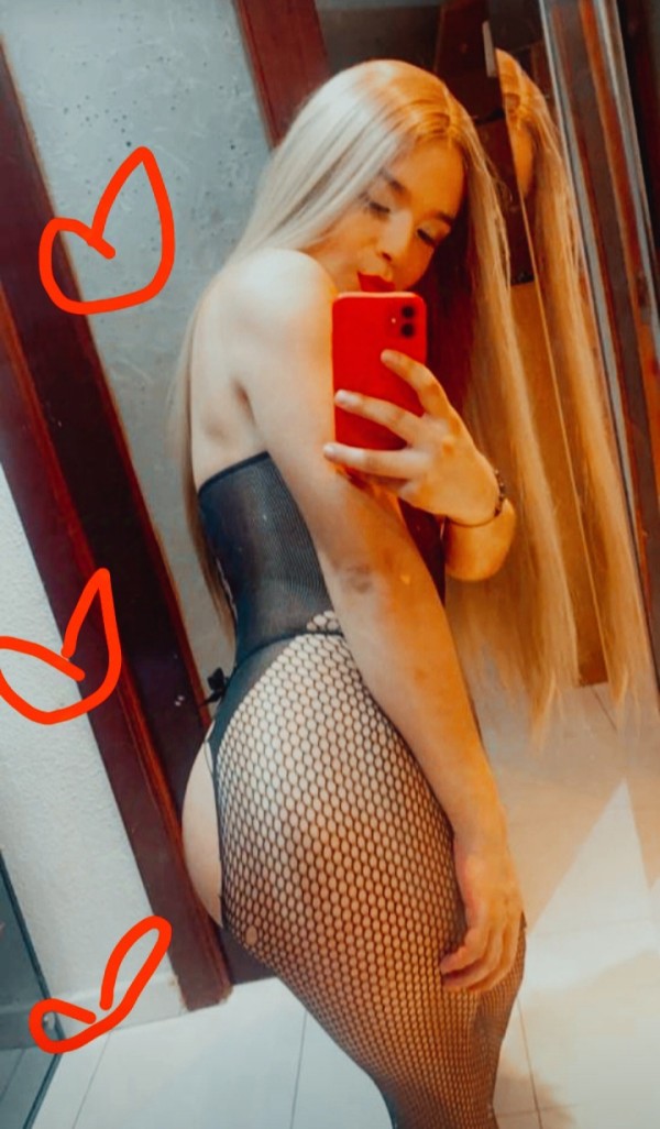 DIVERSION REAL FIESTA SIN PRISAS