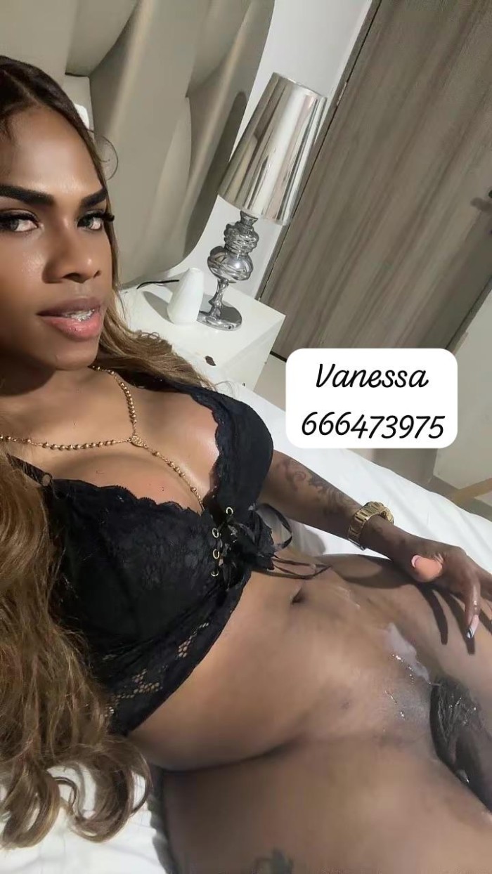 Chica trans fiestera morena 21cm