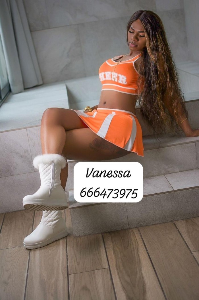 Chica trans fiestera morena 21cm