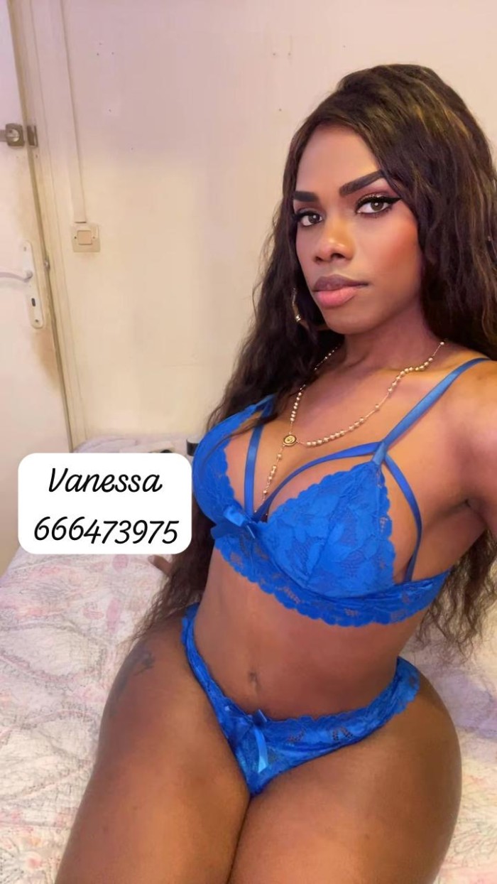 Chica trans fiestera morena 21cm