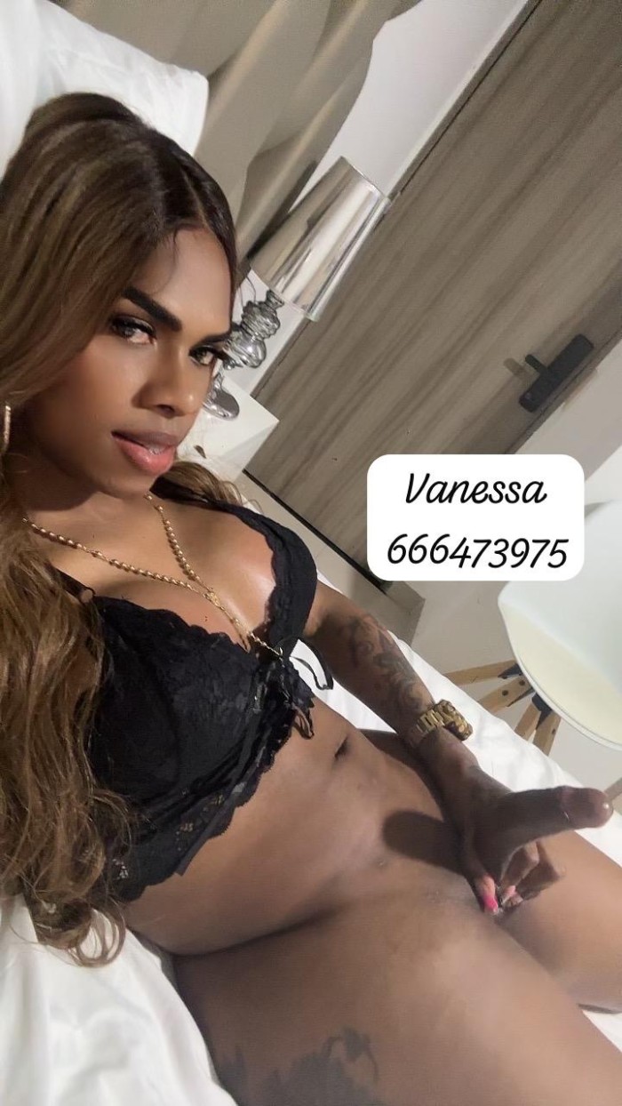 Chica trans fiestera morena 21cm
