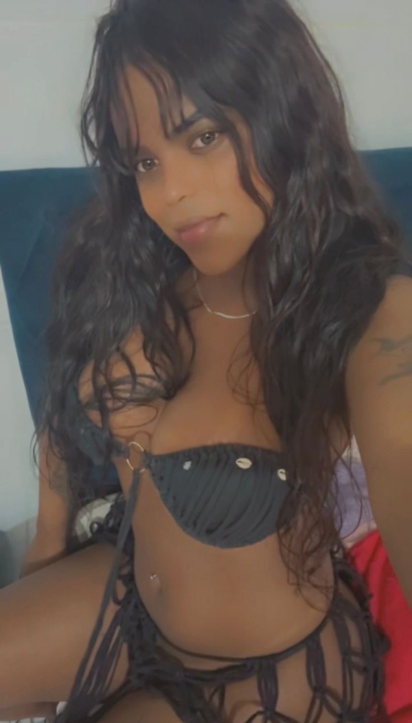 SUPER NOVEDAD TRANS TIFFANY MULATA CARNAVAL PONFER