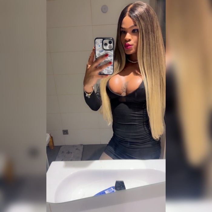 TRANS BRASILEÑA POLLON