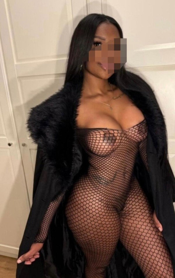 Novedad