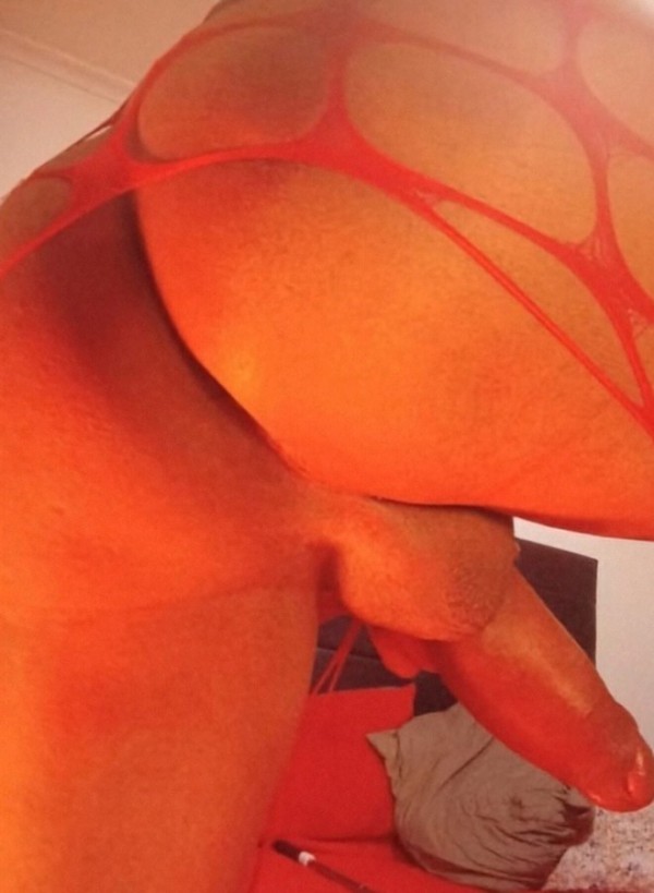 TRANS DISPONIBLE PARA COMPLACER TODAS TUS DESEOS…