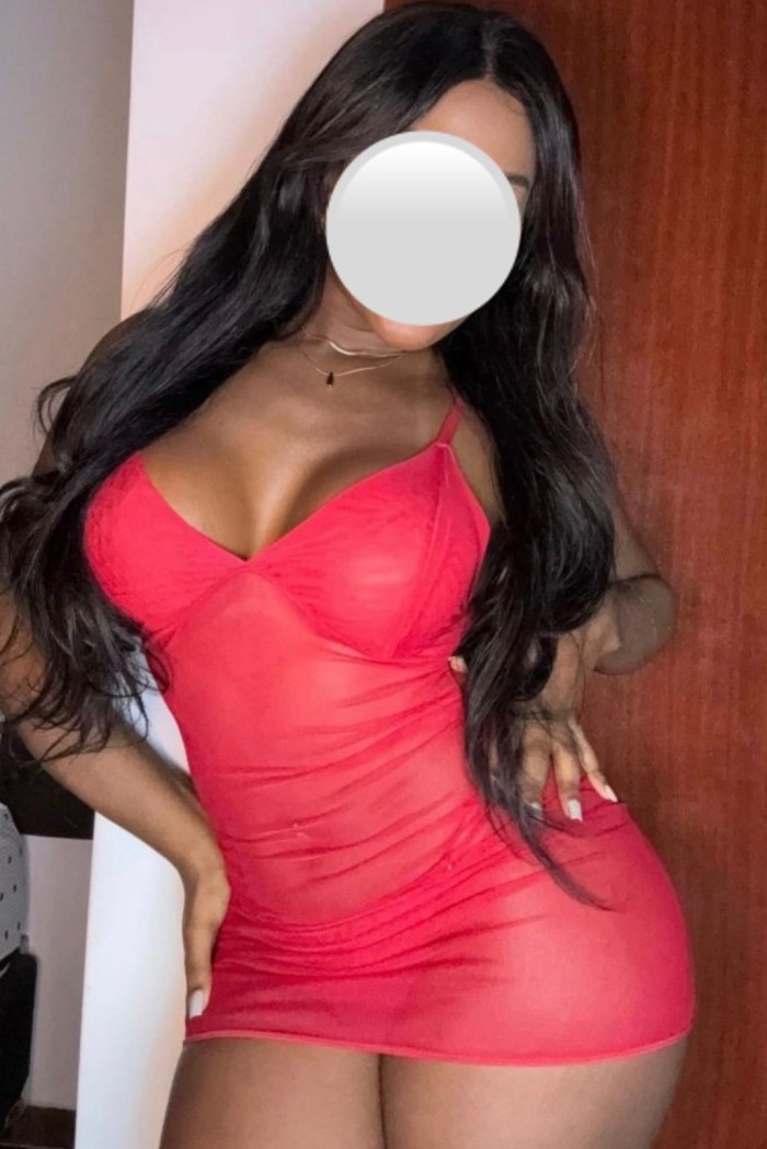 Novedad