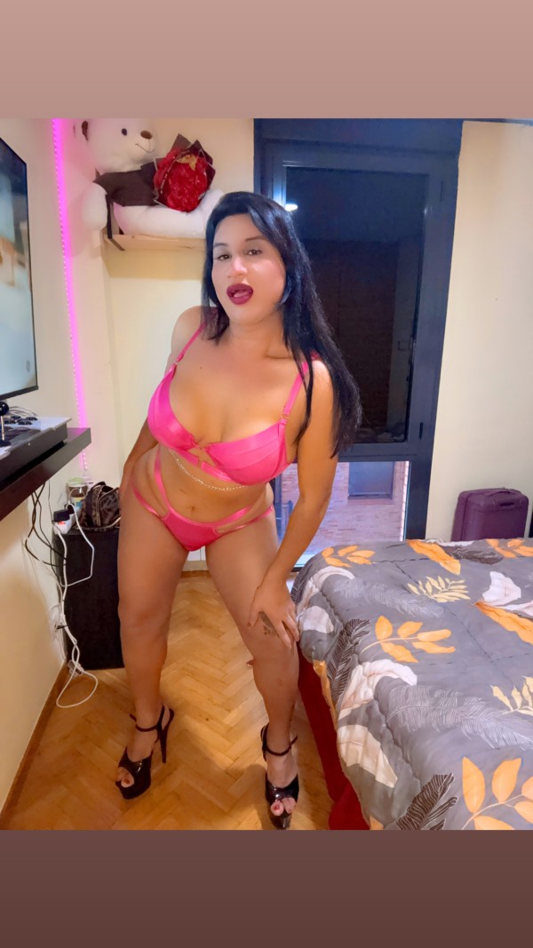 En Ocaña colombiana dominante, lechera