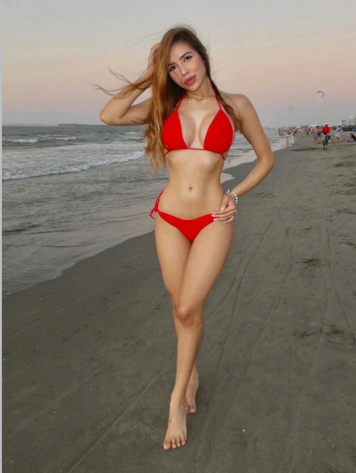 Tu próxima obsesión empieza aquí