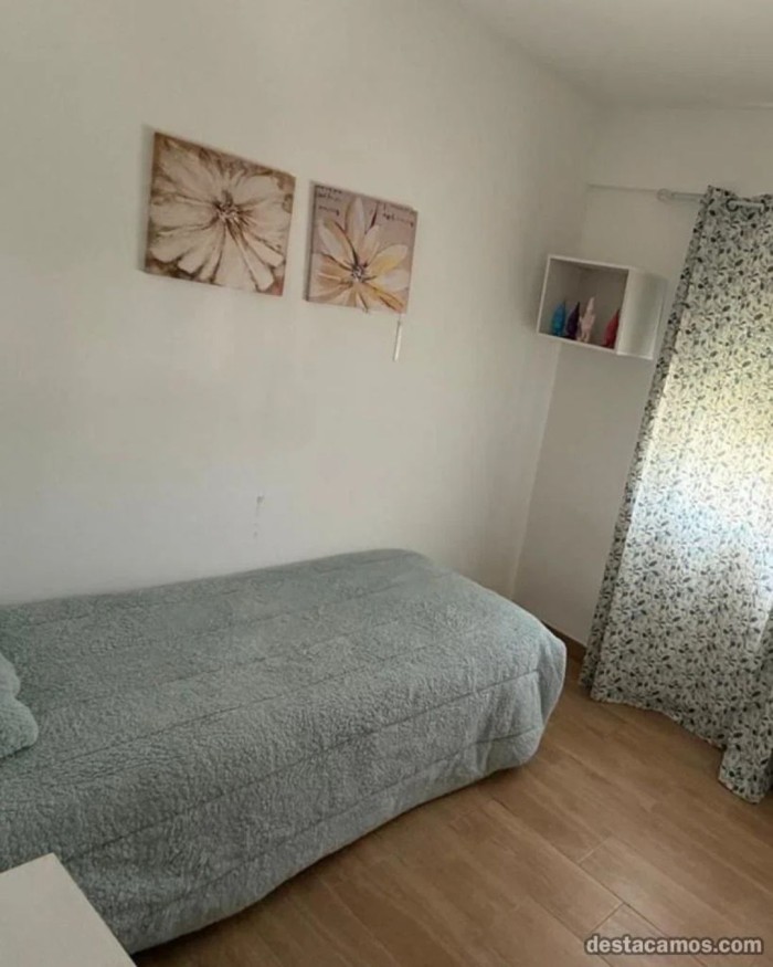 Habitaciones en Mérida Alquiler puta Profesionales