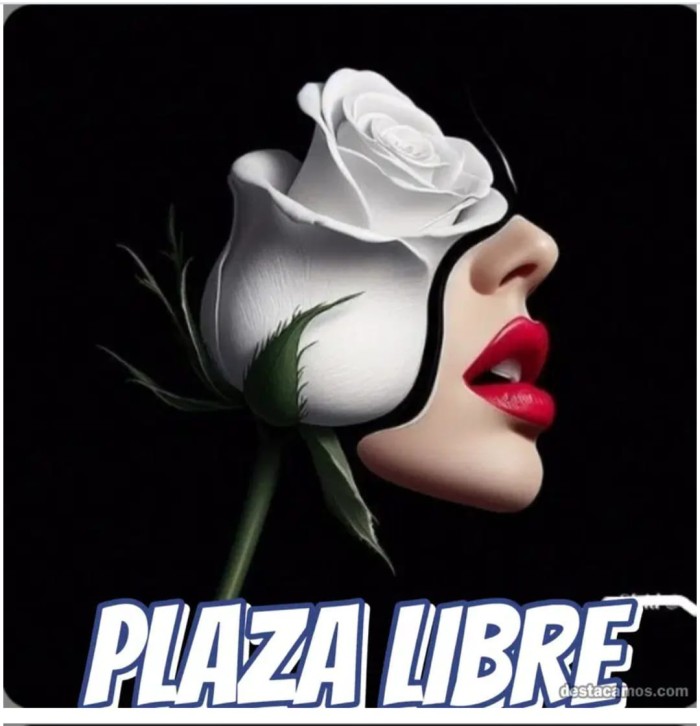 Plaza habitaciones disponibles Badalona