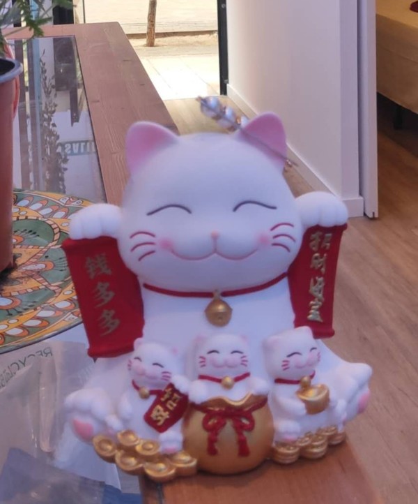 XinXin Centro Masaje