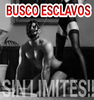Busco perros sumisos!! 24 h