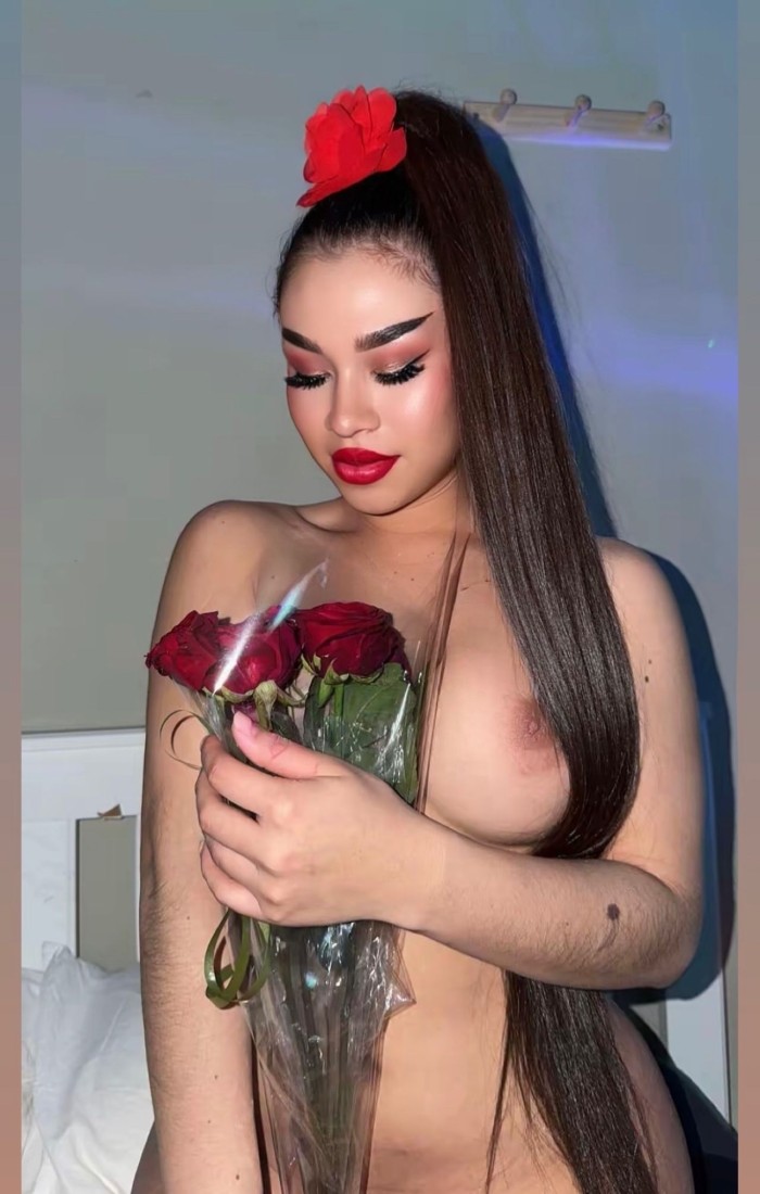 Trans latina ardiente