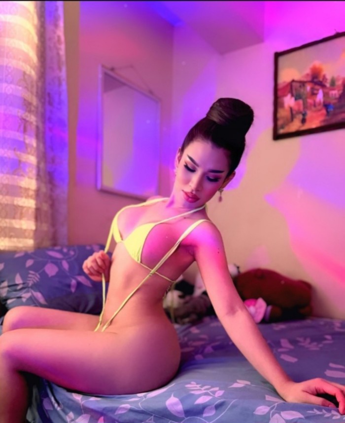 Trans latina ardiente
