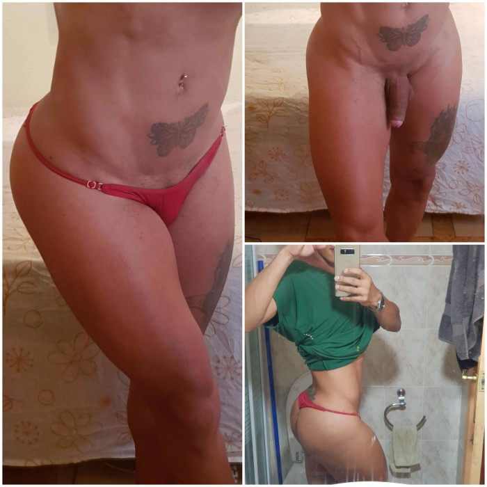 Trans Vanessa, Versatil, Completa