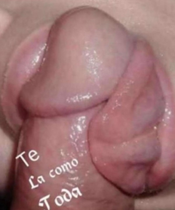 NOE FIESTSRA A TOPE DESEO PASARLA BIEN NUEVA