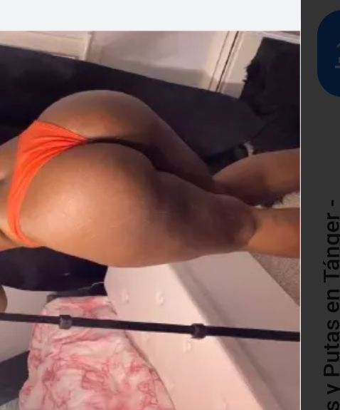 Novedad