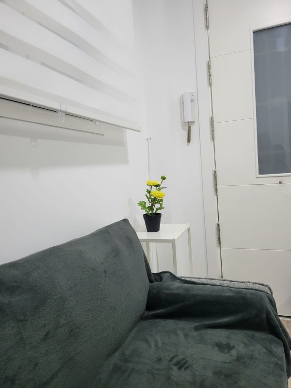 Alquilo apartamento en paseo de las acasias