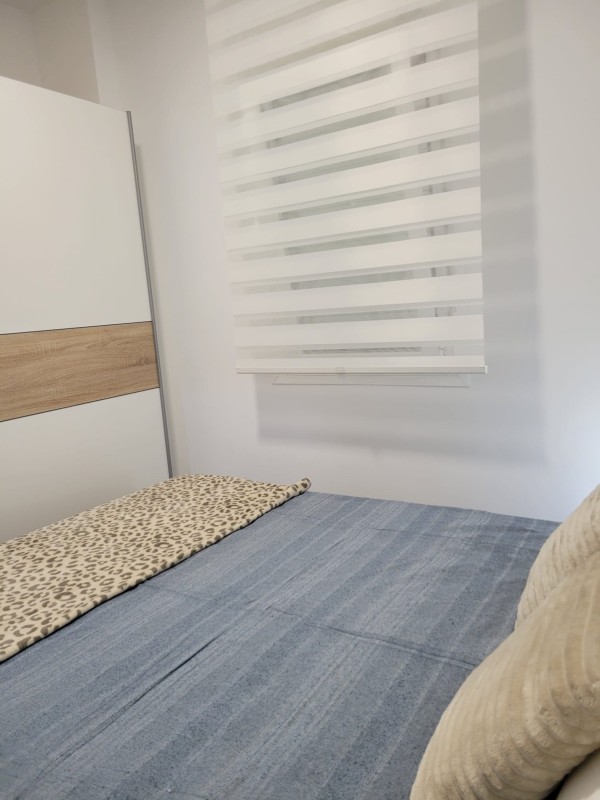 Alquilo apartamento en paseo de las acasias