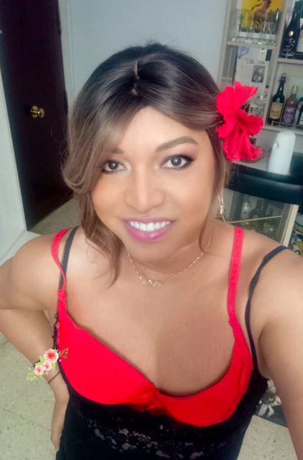 PERRISIMA Y MUY FIESTERA