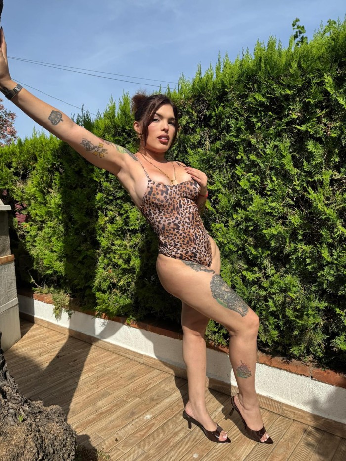 DIOSA MODELO TRANS