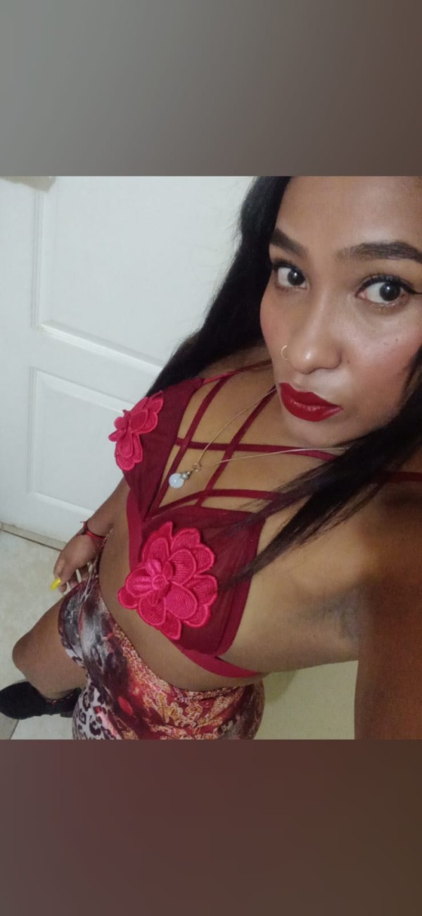 SEXO SIN PRISAS, FIESTERA,SALIDAS
