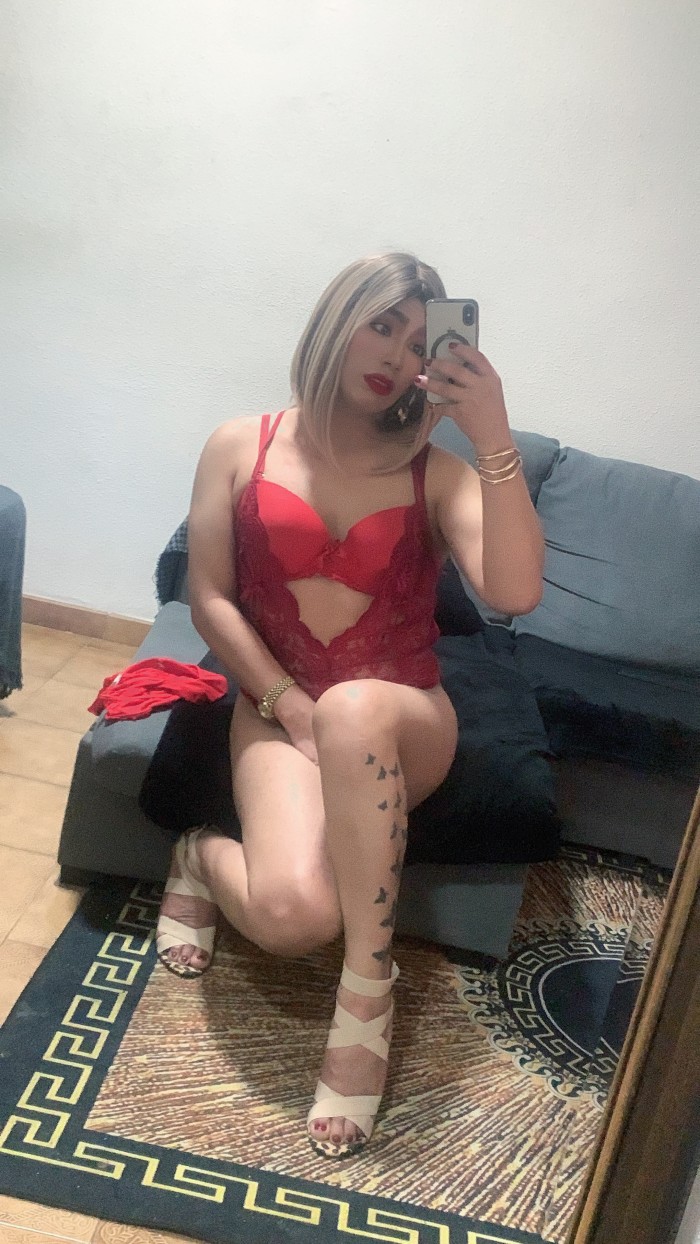 TRANS RECIÉN LLEGADA FIESTERA