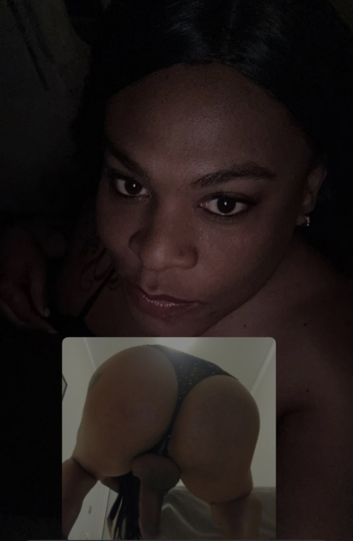 Juguetona sexi curiosa morena trans