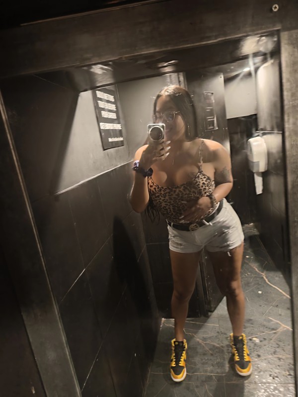 TRANS LATINA REAL LLEGÓ A TU CIUDAD