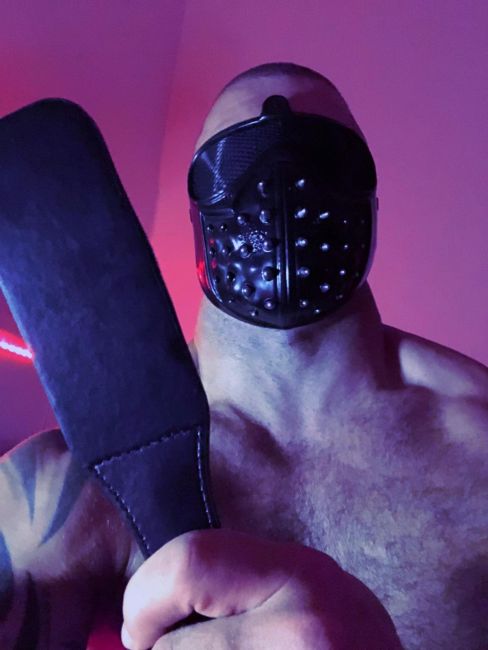 En almazora , macho Pollon lechero cañero fiestero