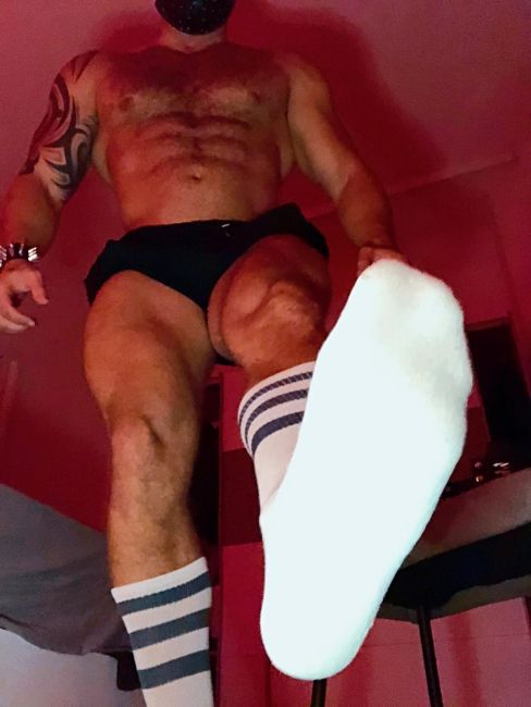 En almazora , macho Pollon lechero cañero fiestero