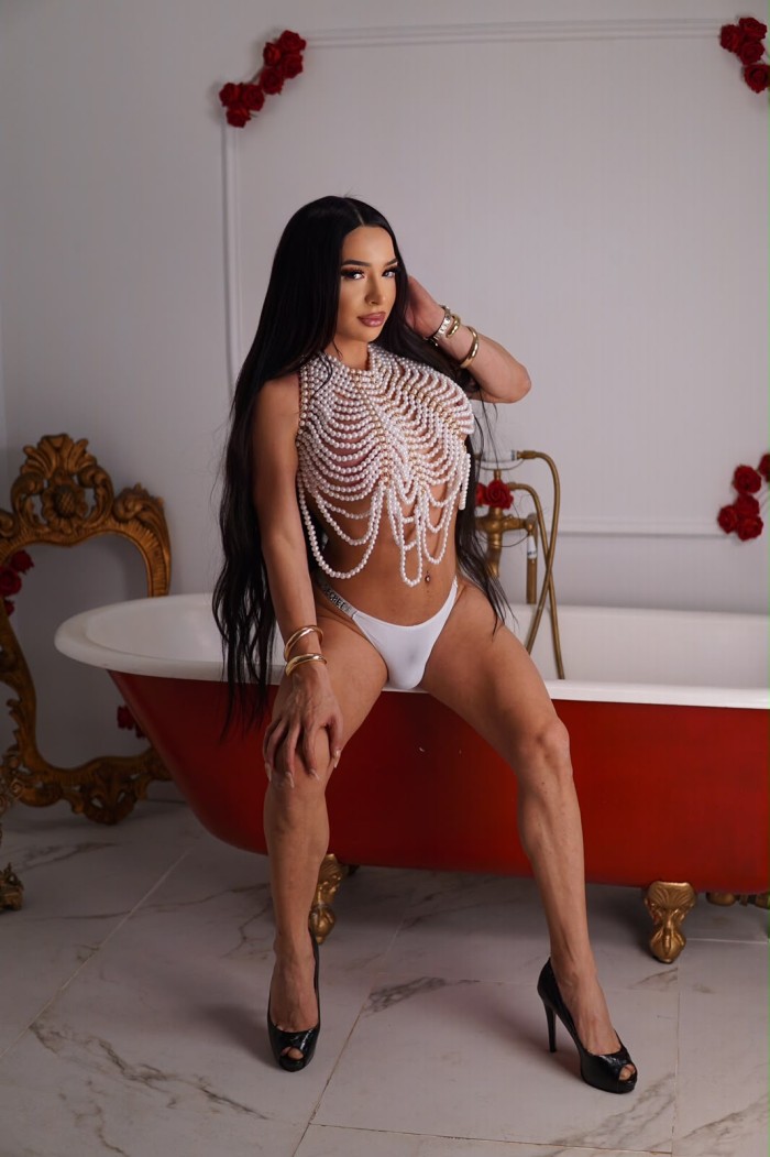 TRANS CHILENA PERRITA EXÓTICA  MORBOSA