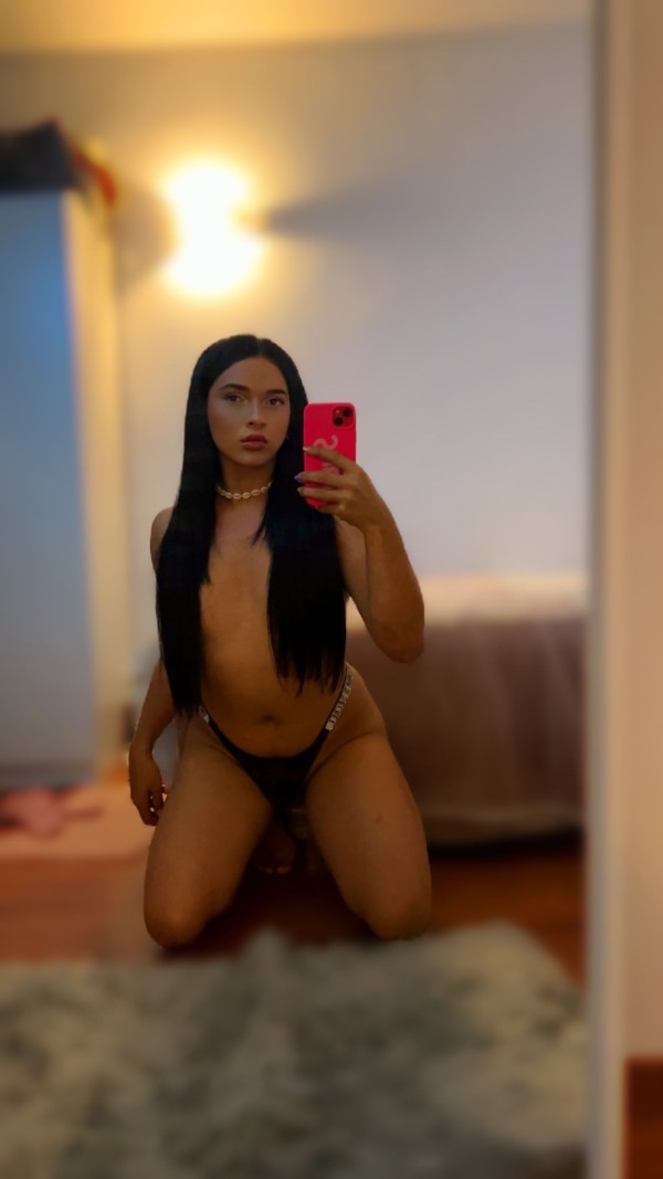 Malut Colombiana FIESTERA Y LECHERA