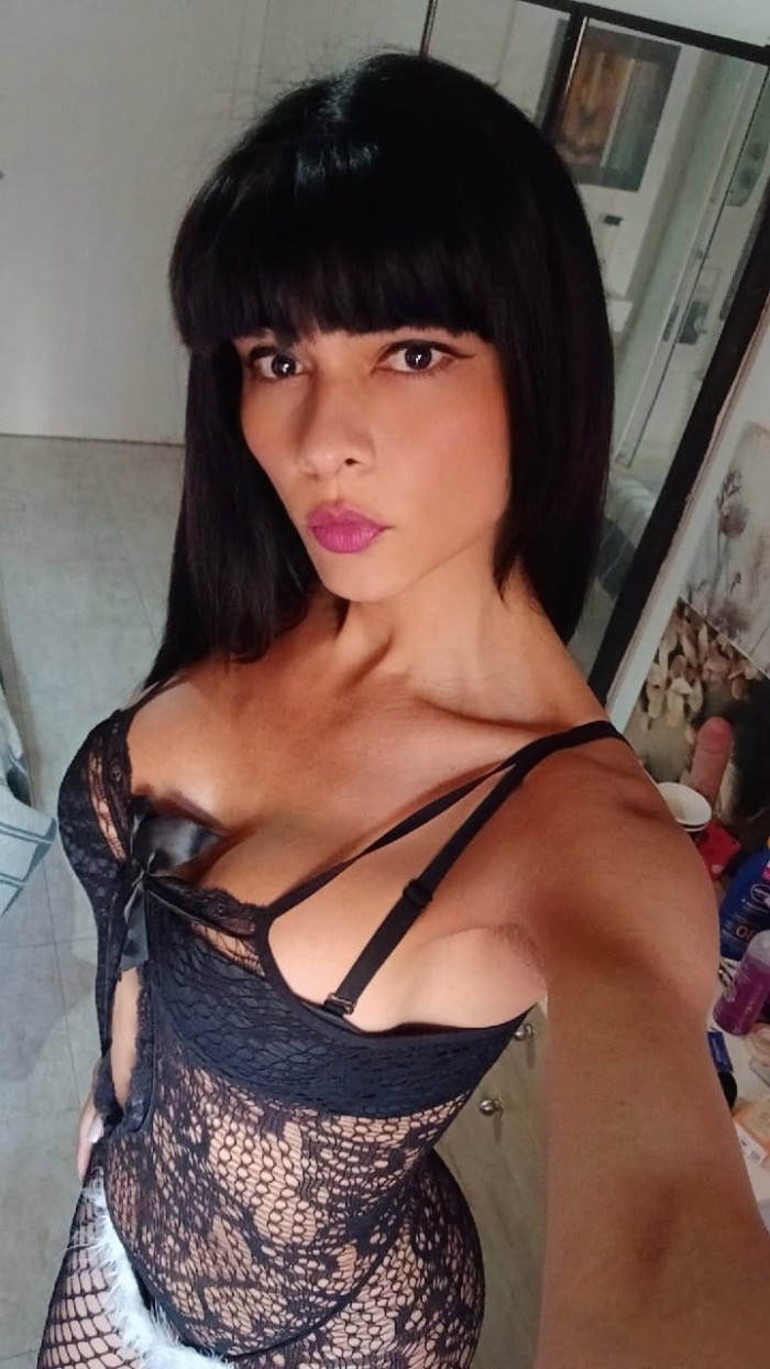 novedad trans xl venezolana barcelona example