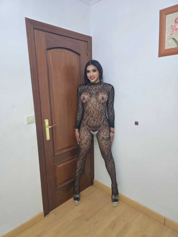 TRANS BELLEZA EXOTICA PARA MOMENTOS UNICOSNOVEDAD