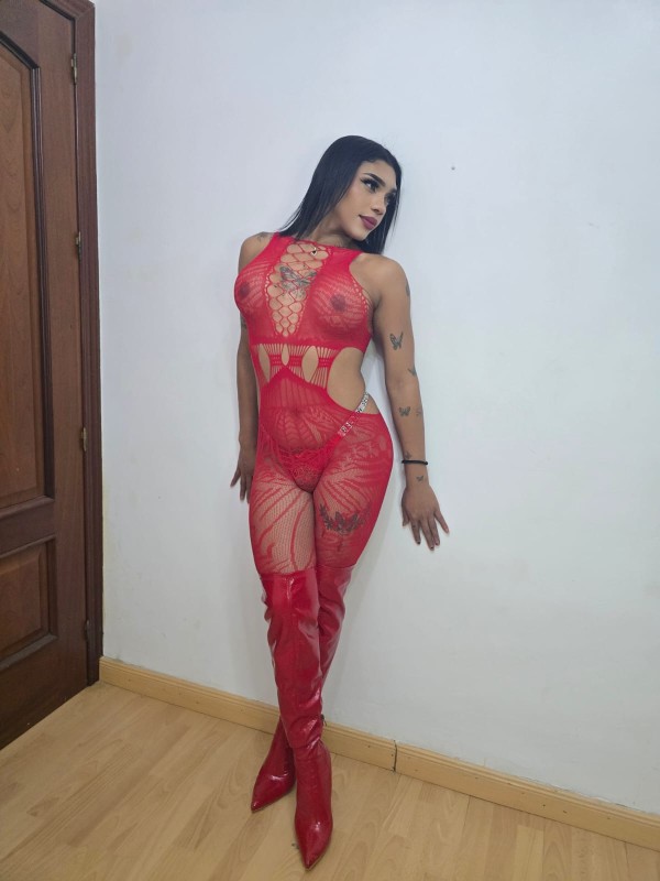 TRANS BELLEZA EXOTICA PARA MOMENTOS UNICOSNOVEDAD